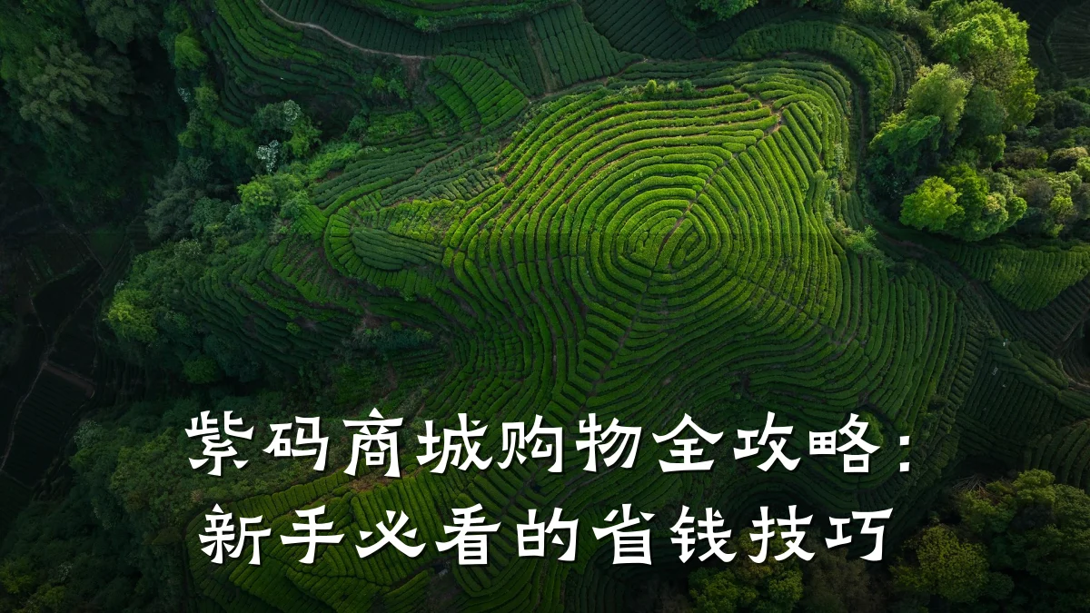 紫码商城购物全攻略：新手必看的省钱技巧