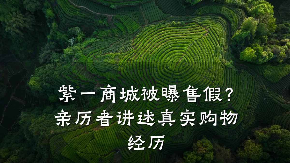 紫一商城被曝售假？亲历者讲述真实购物经历