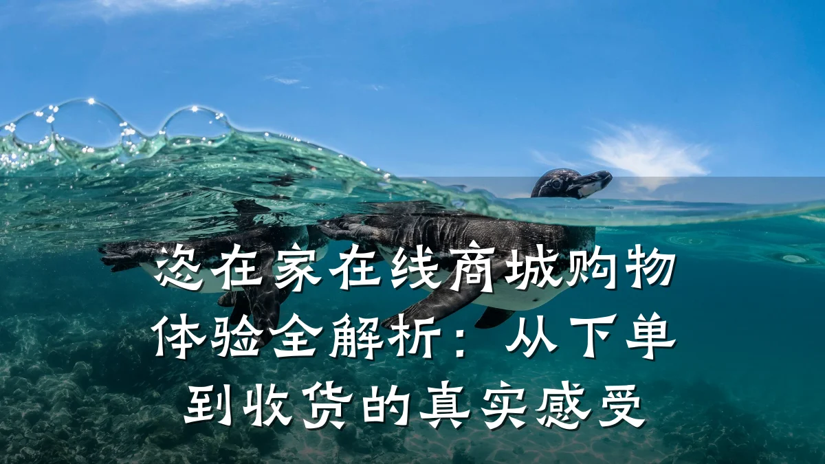 恣在家在线商城购物体验全解析:从下单到收货的真实感受