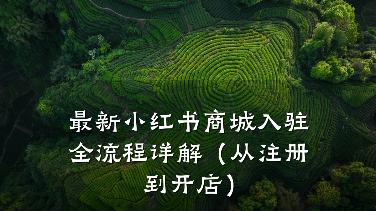 最新小红书商城入驻全流程详解（从注册到开店）