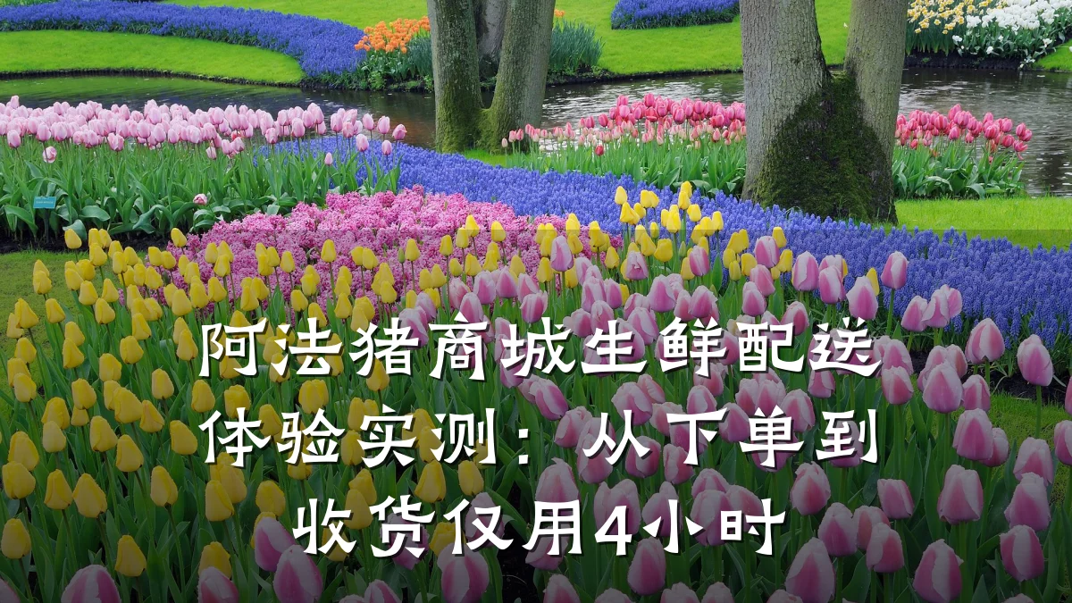 阿法猪商城生鲜配送体验实测：从下单到收货仅用4小时