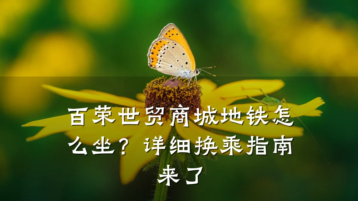 百荣世贸商城地铁怎么坐?详细换乘指南来了