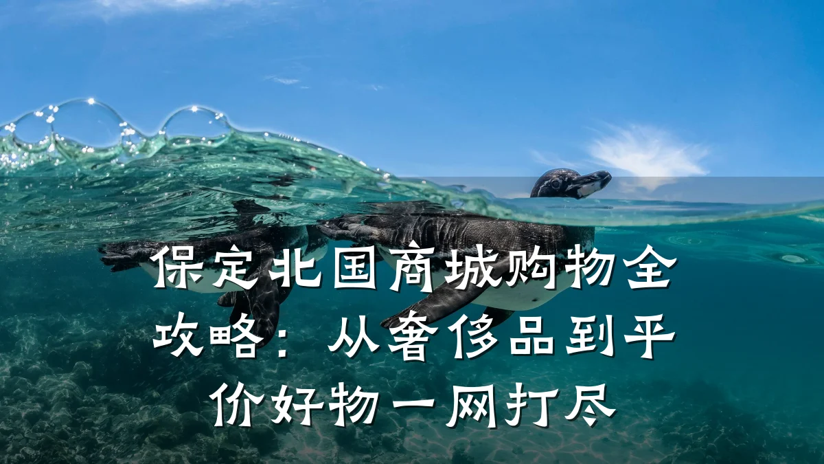 保定北国商城购物全攻略:从奢侈品到平价好物一网打尽