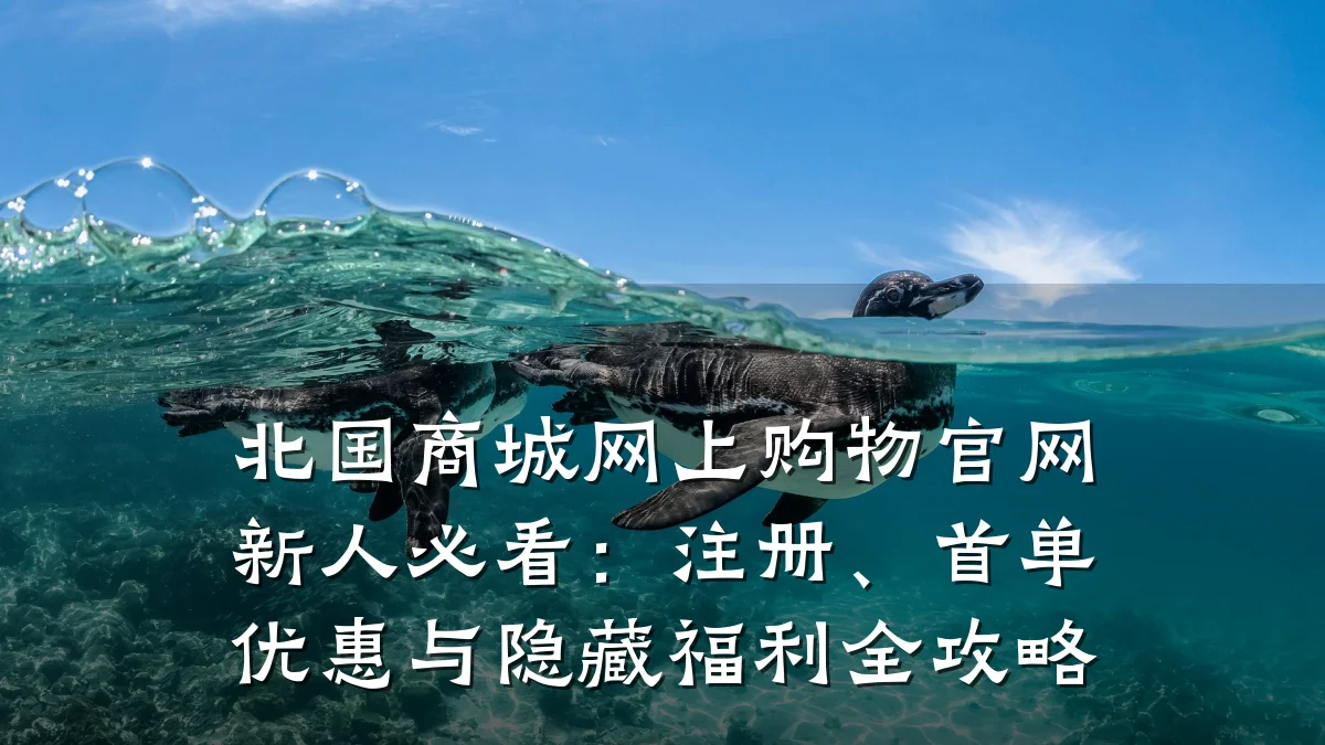 北国商城网上购物官网新人必看：注册、首单优惠与隐藏福利全攻略