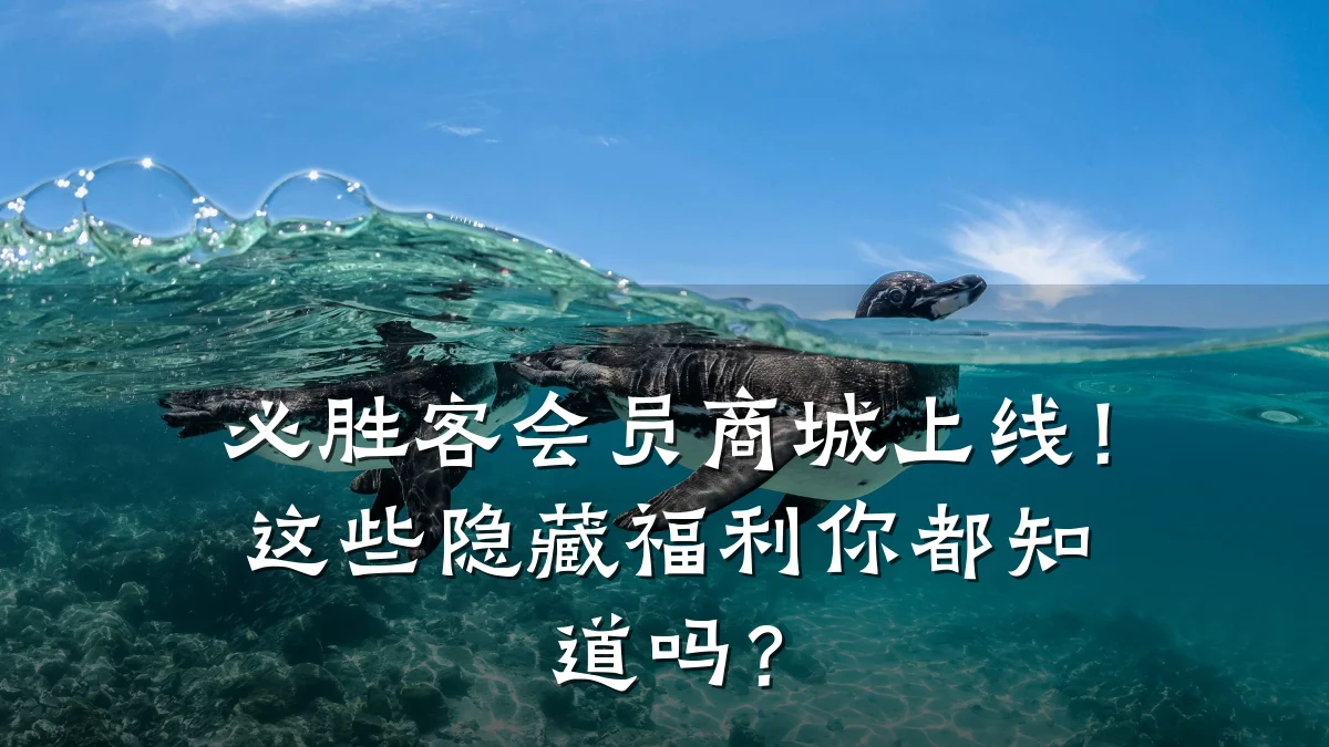 必胜客会员商城上线!这些隐藏福利你都知道吗?