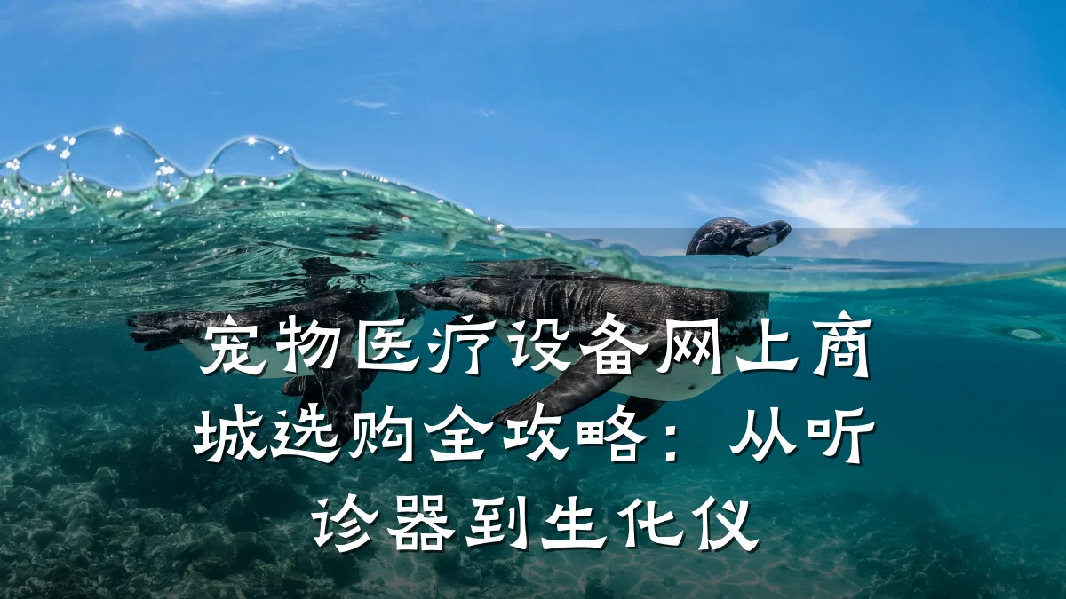 宠物医疗设备网上商城选购全攻略：从听诊器到生化仪