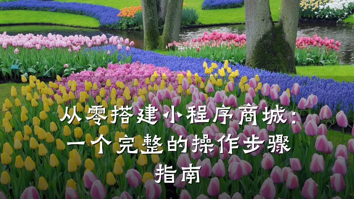 从零搭建小程序商城:一个完整的操作步骤指南