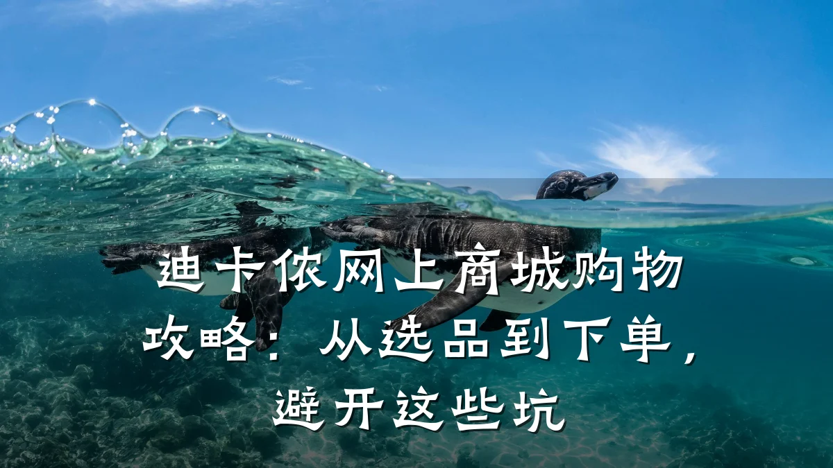 迪卡侬网上商城购物攻略:从选品到下单,避开这些坑