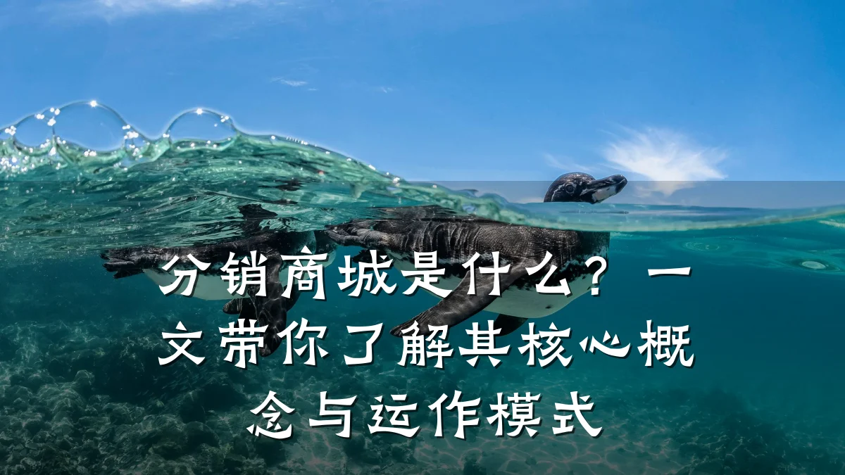 分销商城是什么?一文带你了解其核心概念与运作模式
