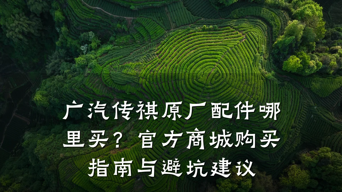 广汽传祺原厂配件哪里买?官方商城购买指南与避坑建议