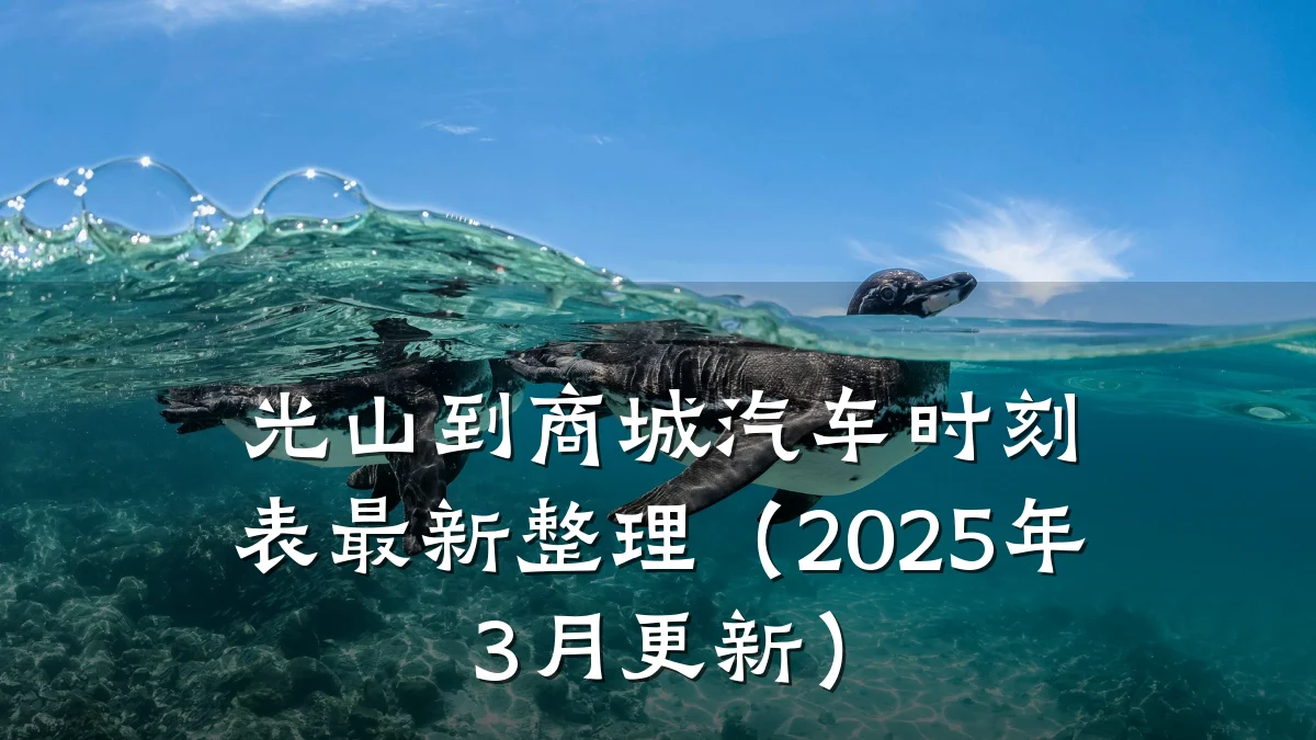 光山到商城汽车时刻表最新整理(2025年3月更新)