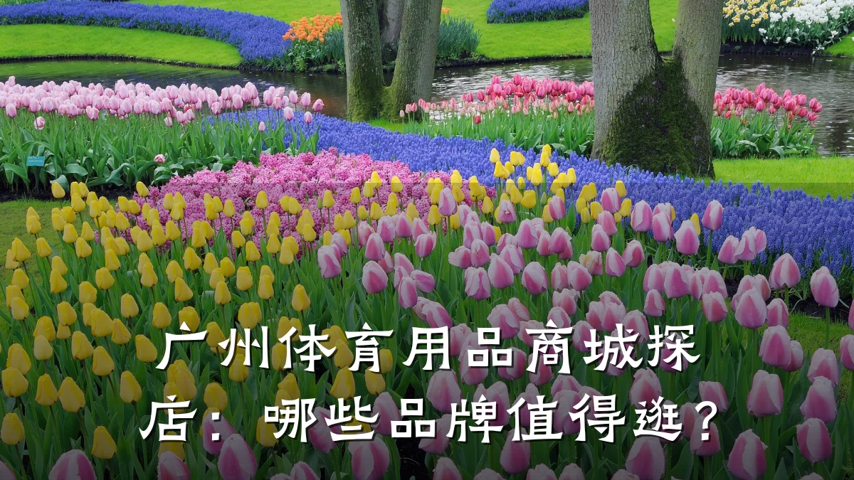广州体育用品商城探店：哪些品牌值得逛？