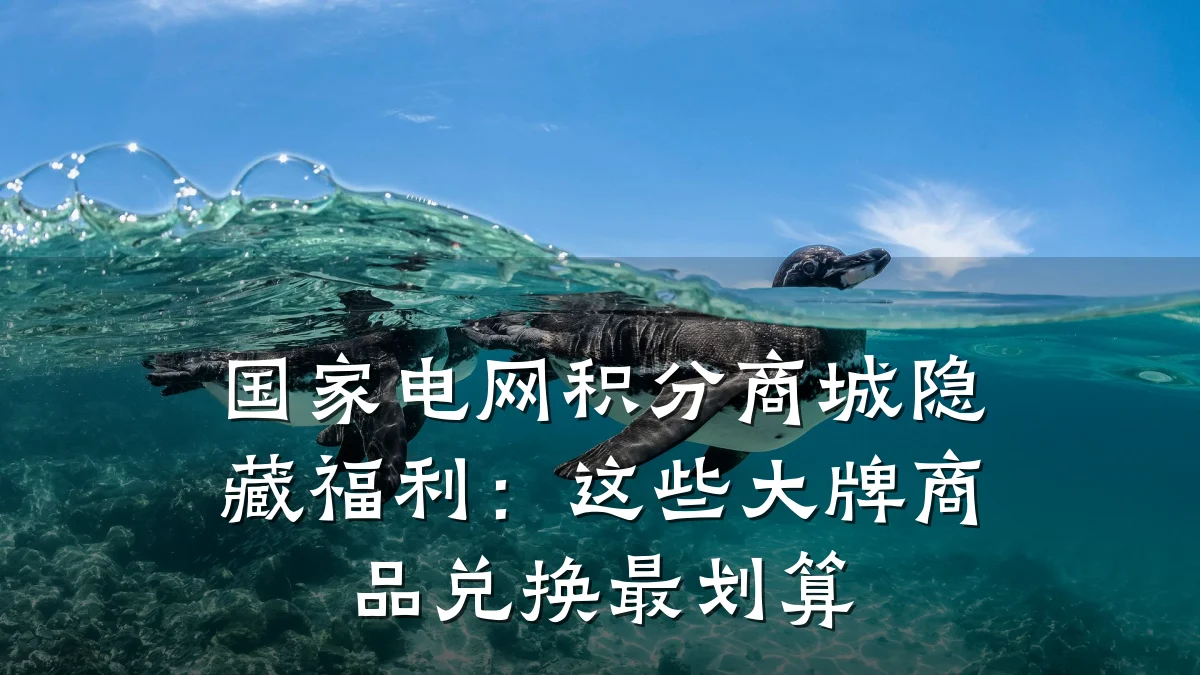 国家电网积分商城隐藏福利:这些大牌商品兑换最划算