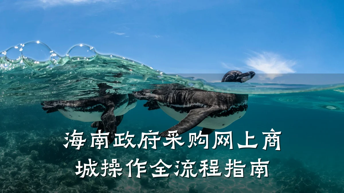 海南政府采购网上商城操作全流程指南