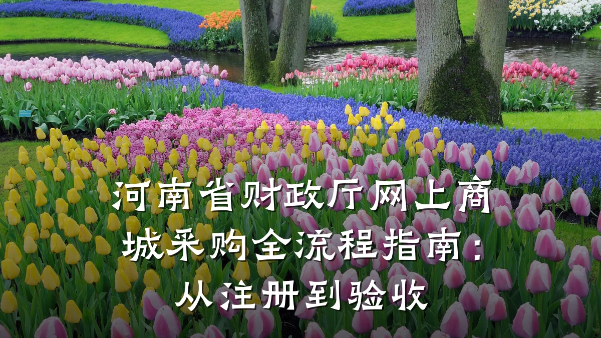 河南省财政厅网上商城采购全流程指南:从注册到验收