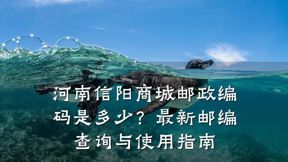 河南信阳商城邮政编码是多少？最新邮编查询与使用指南