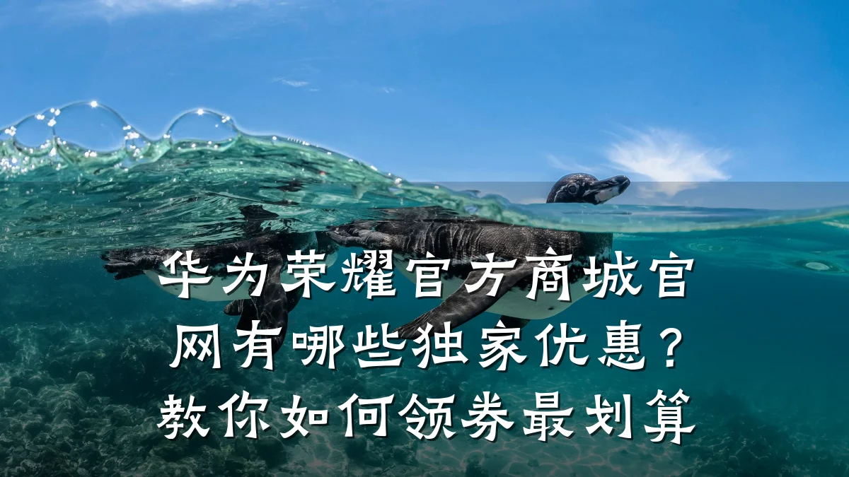 华为荣耀官方商城官网有哪些独家优惠?教你如何领券最划算