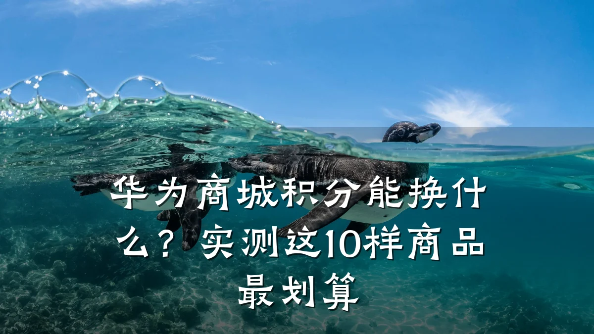 华为商城积分能换什么？实测这10样商品最划算