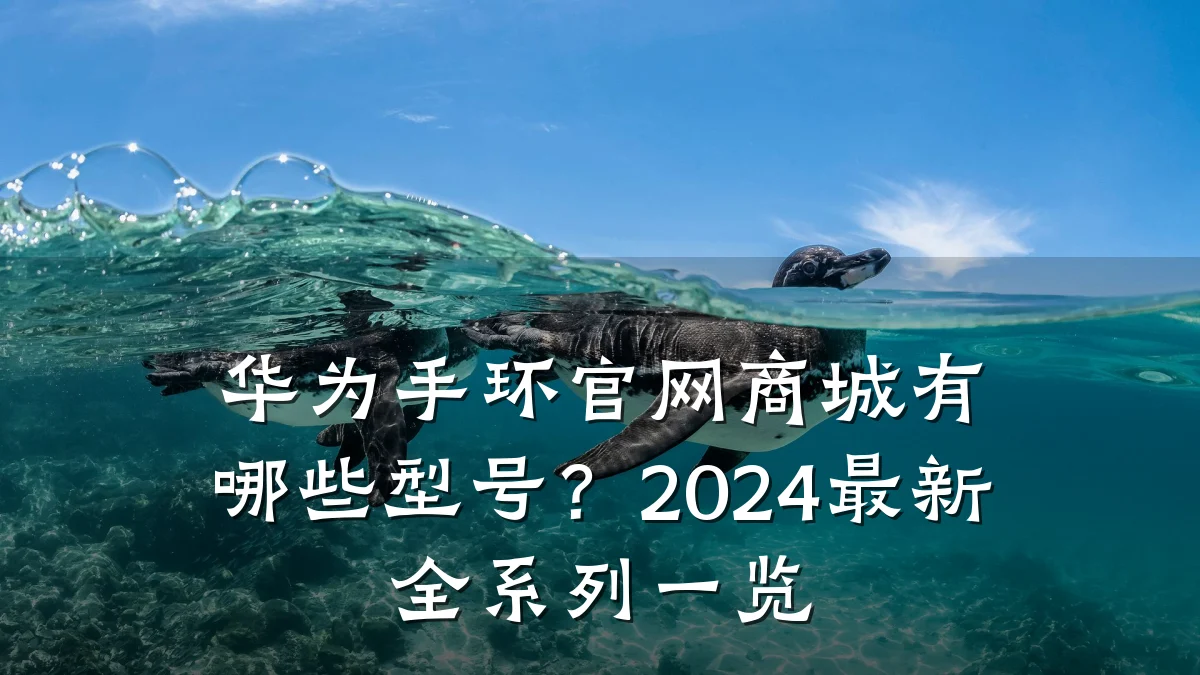 华为手环官网商城有哪些型号?2024最新全系列一览