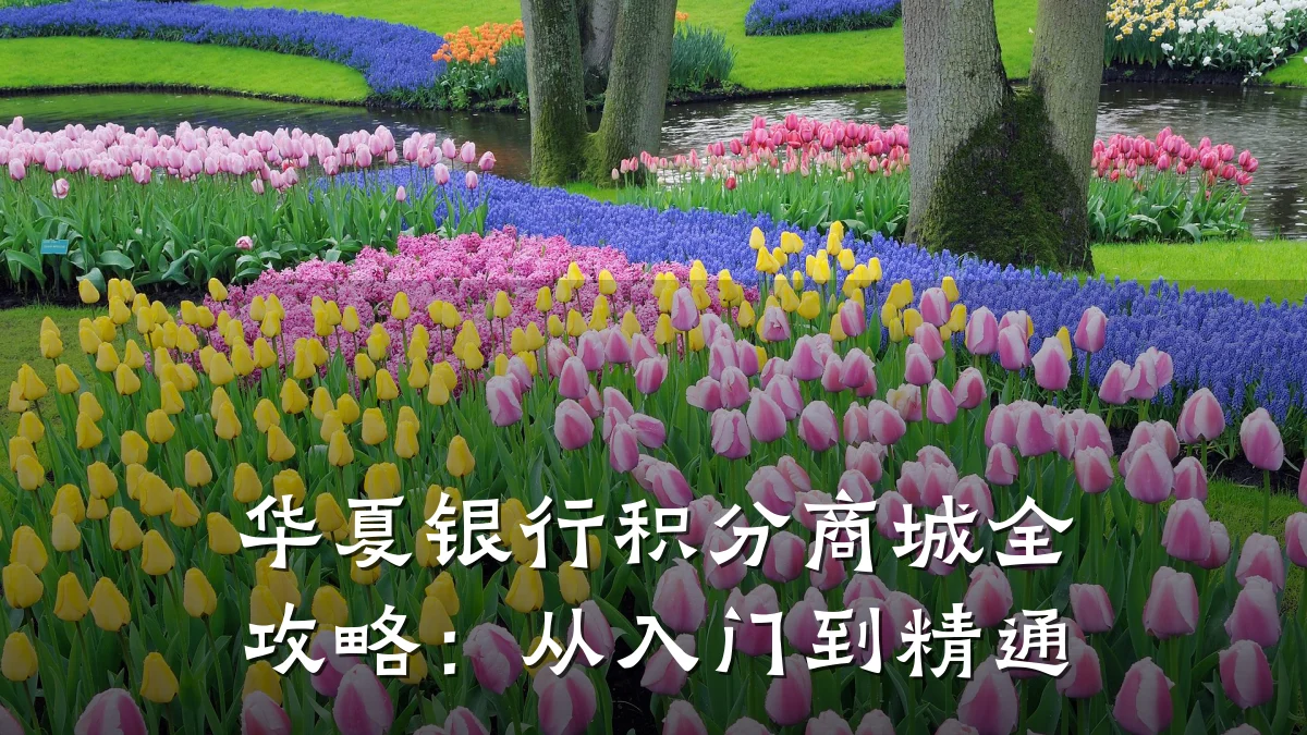 华夏银行积分商城全攻略:从入门到精通