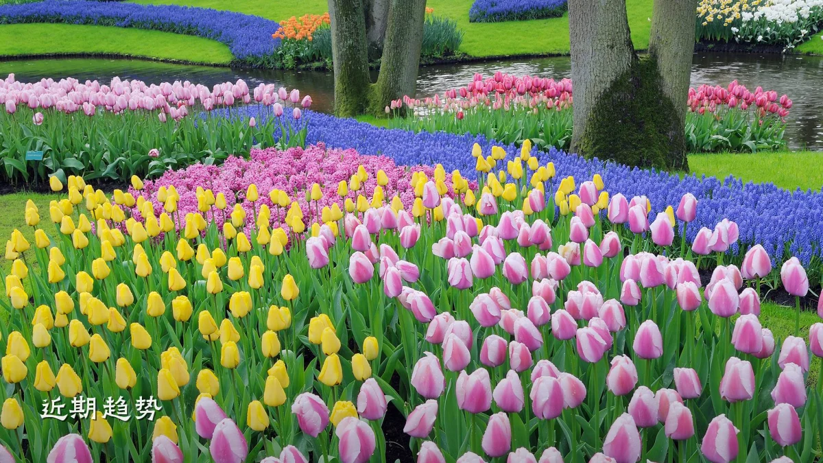 近期趋势