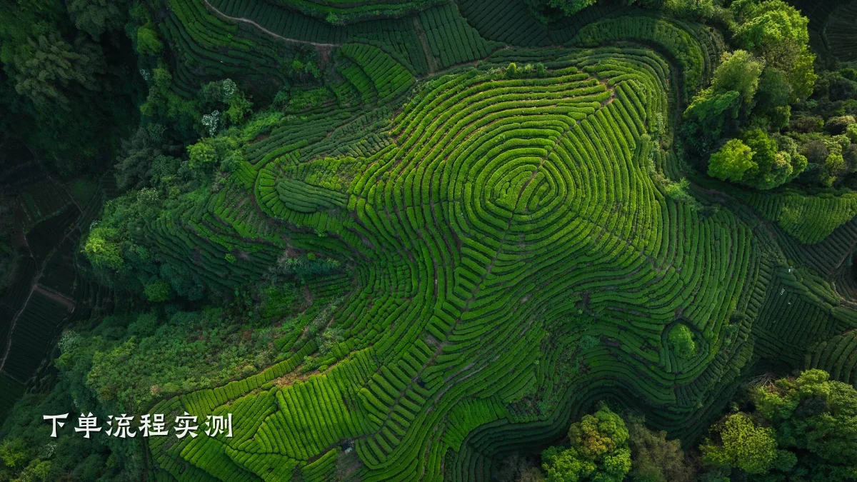下单流程实测