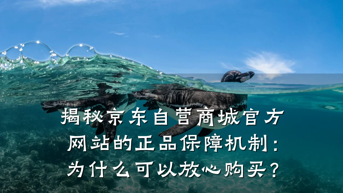 揭秘京东自营商城官方网站的正品保障机制:为什么可以放心购买?