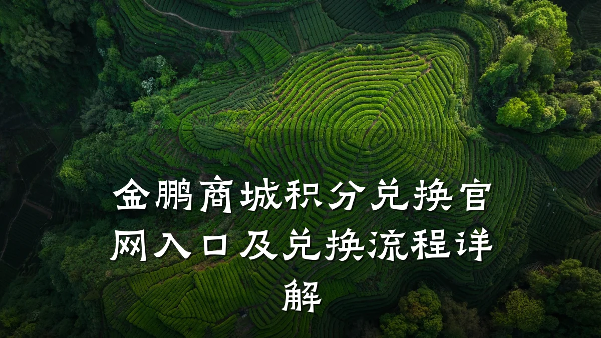 金鹏商城积分兑换官网入口及兑换流程详解