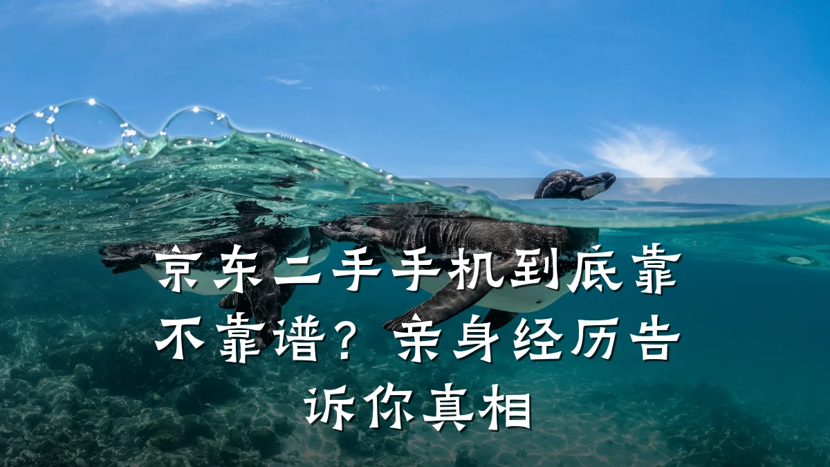 京东二手手机到底靠不靠谱?亲身经历告诉你真相