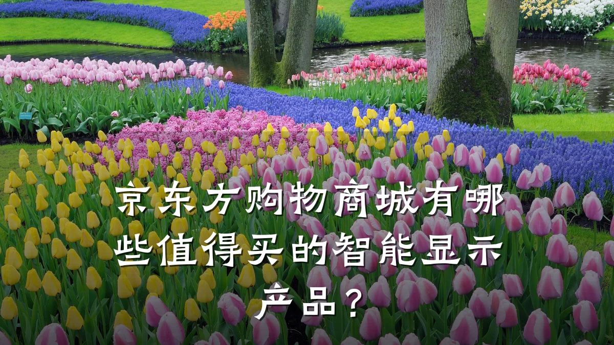 京东方购物商城有哪些值得买的智能显示产品？