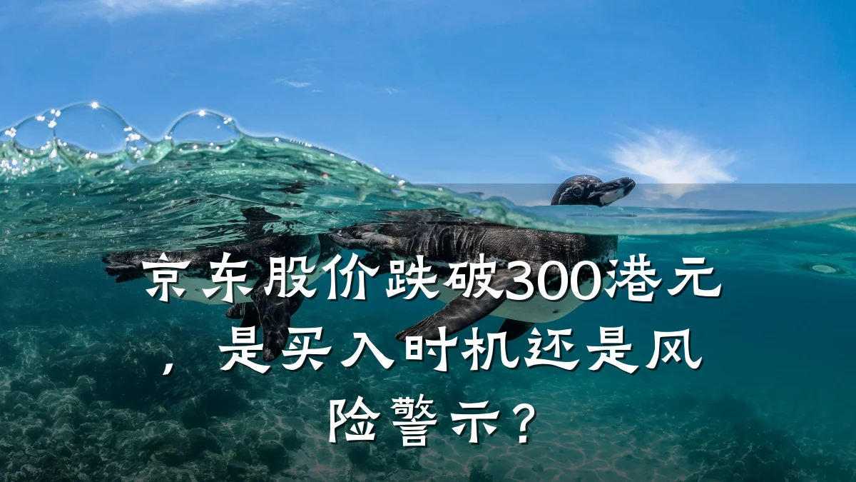 京东股价跌破300港元，是买入时机还是风险警示？