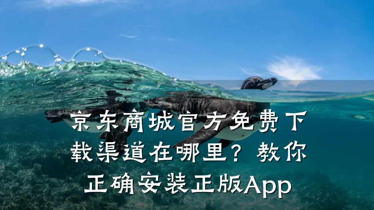 京东商城官方免费下载渠道在哪里?教你正确安装正版App
