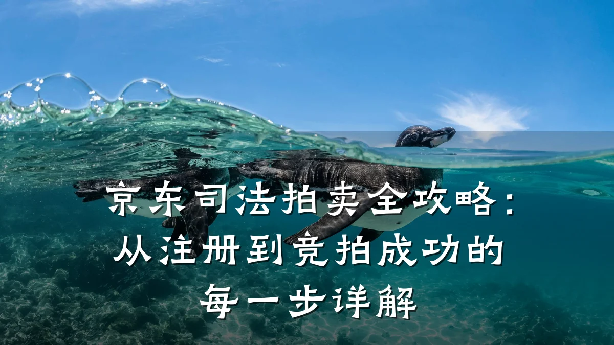 京东司法拍卖全攻略:从注册到竞拍成功的每一步详解