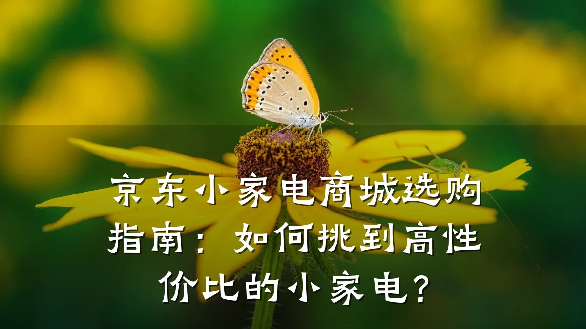 京东小家电商城选购指南:如何挑到高性价比的小家电?