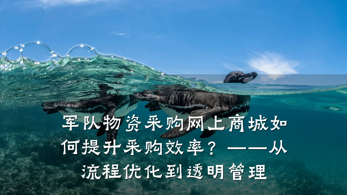 军队物资采购网上商城如何提升采购效率？——从流程优化到透明管理
