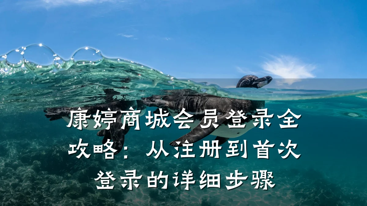 康婷商城会员登录全攻略：从注册到首次登录的详细步骤