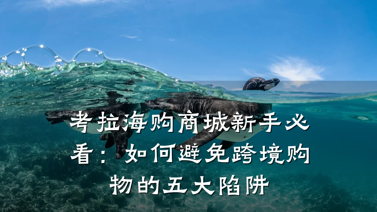考拉海购商城新手必看:如何避免跨境购物的五大陷阱
