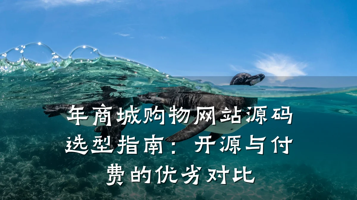 年商城购物网站源码选型指南：开源与付费的优劣对比
