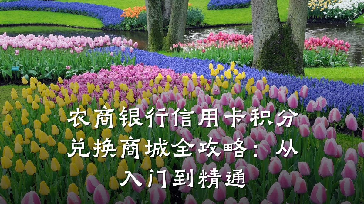 农商银行信用卡积分兑换商城全攻略:从入门到精通