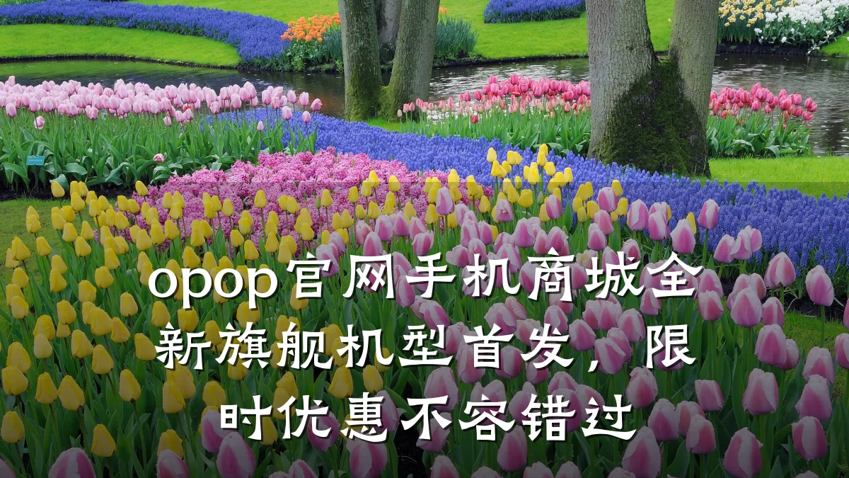 opop官网手机商城全新旗舰机型首发,限时优惠不容错过