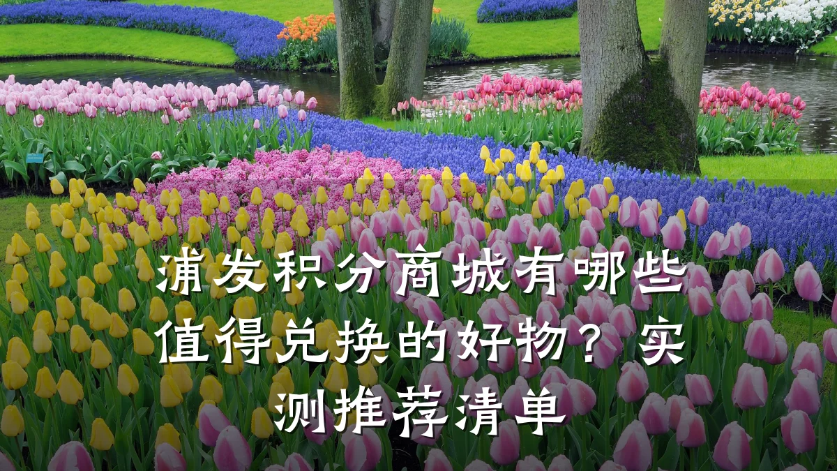 浦发积分商城有哪些值得兑换的好物?实测推荐清单