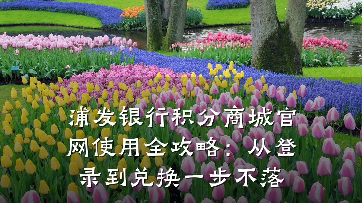 浦发银行积分商城官网使用全攻略:从登录到兑换一步不落