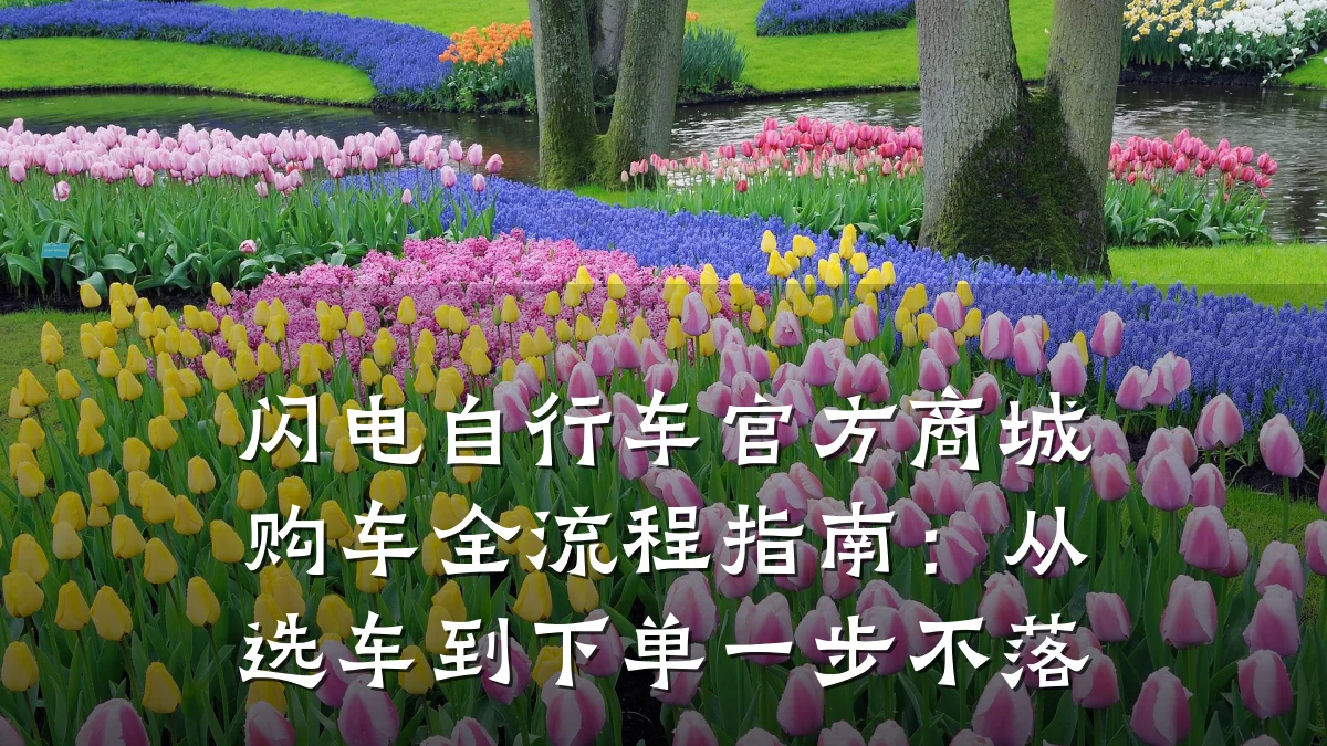 闪电自行车官方商城购车全流程指南:从选车到下单一步不落