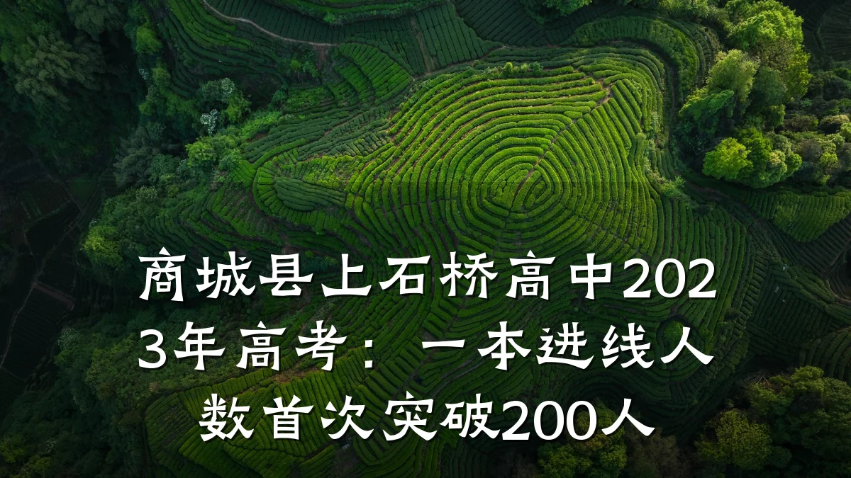 商城县上石桥高中2023年高考:一本进线人数首次突破200人
