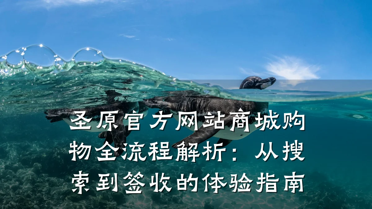 圣原官方网站商城购物全流程解析:从搜索到签收的体验指南