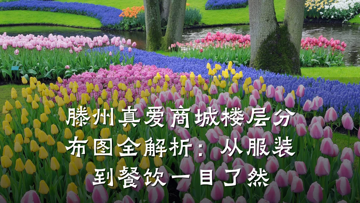 滕州真爱商城楼层分布图全解析:从服装到餐饮一目了然