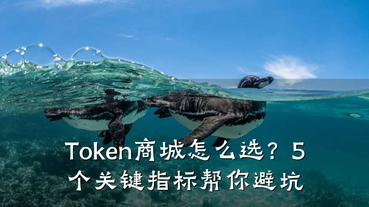 Token商城怎么选?5个关键指标帮你避坑