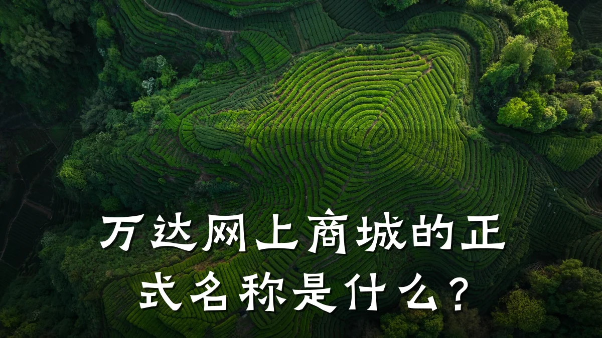万达网上商城的正式名称是什么？