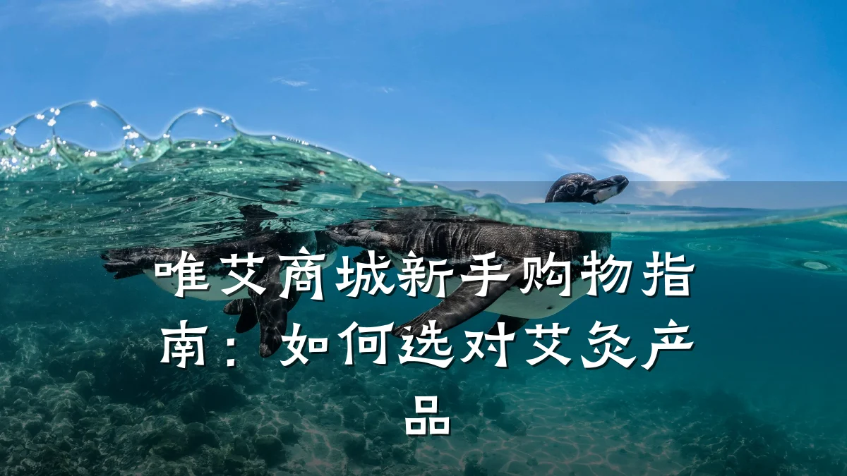 唯艾商城新手购物指南:如何选对艾灸产品