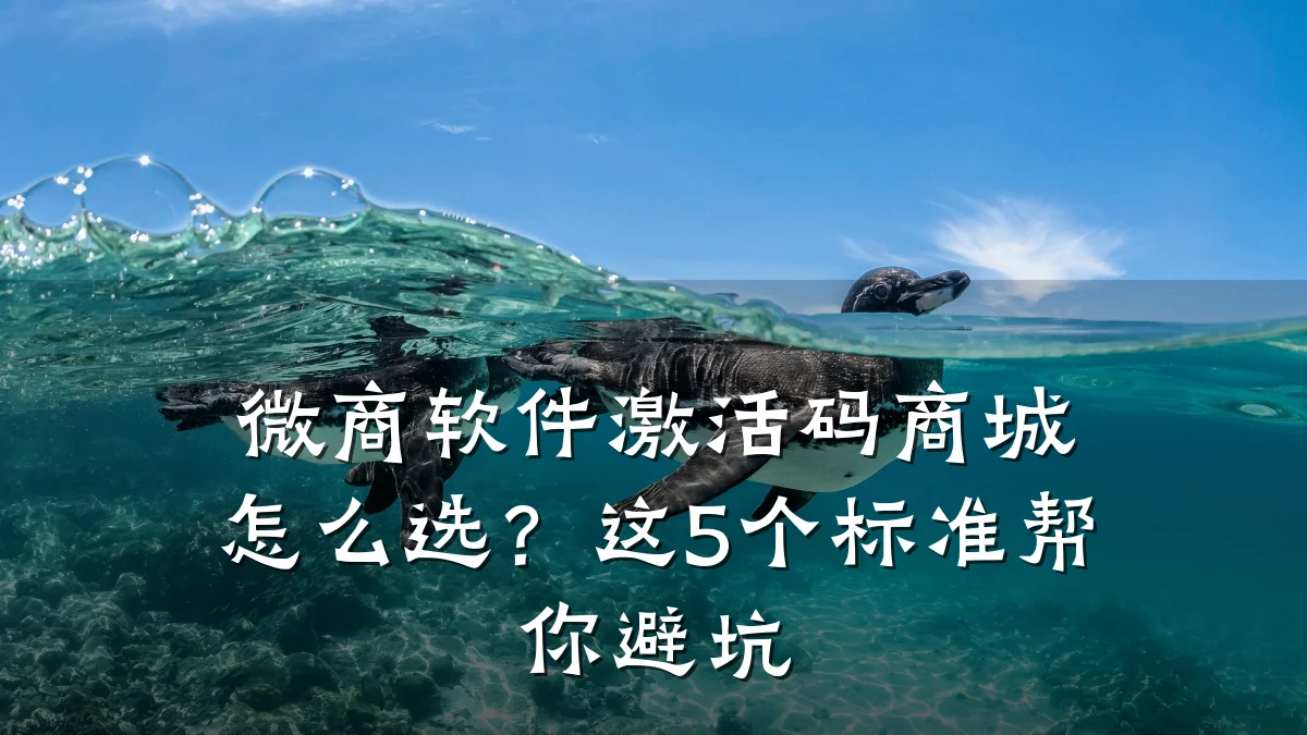 微商软件激活码商城怎么选？这5个标准帮你避坑